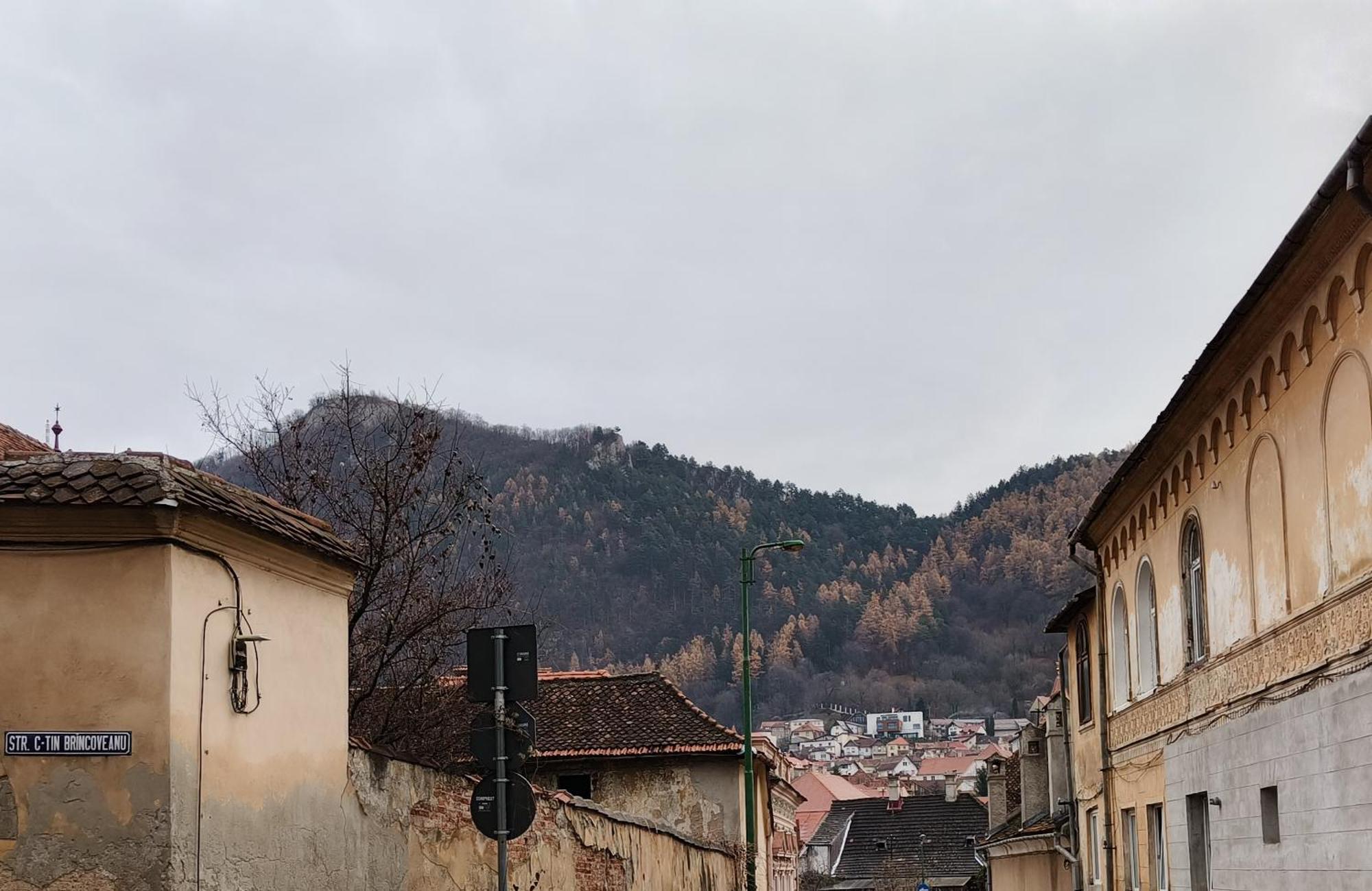Golden Greens Studio - Mountain Scenery Brasov Exterior photo